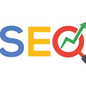 Profesyonel Seo Paketi